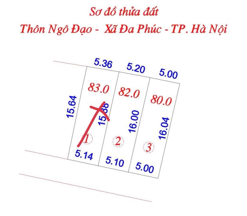 Đất nền Tân Hưng Sóc Sơn 80m² nhỉnh 1 tỷ - Sổ đỏ chính chủ