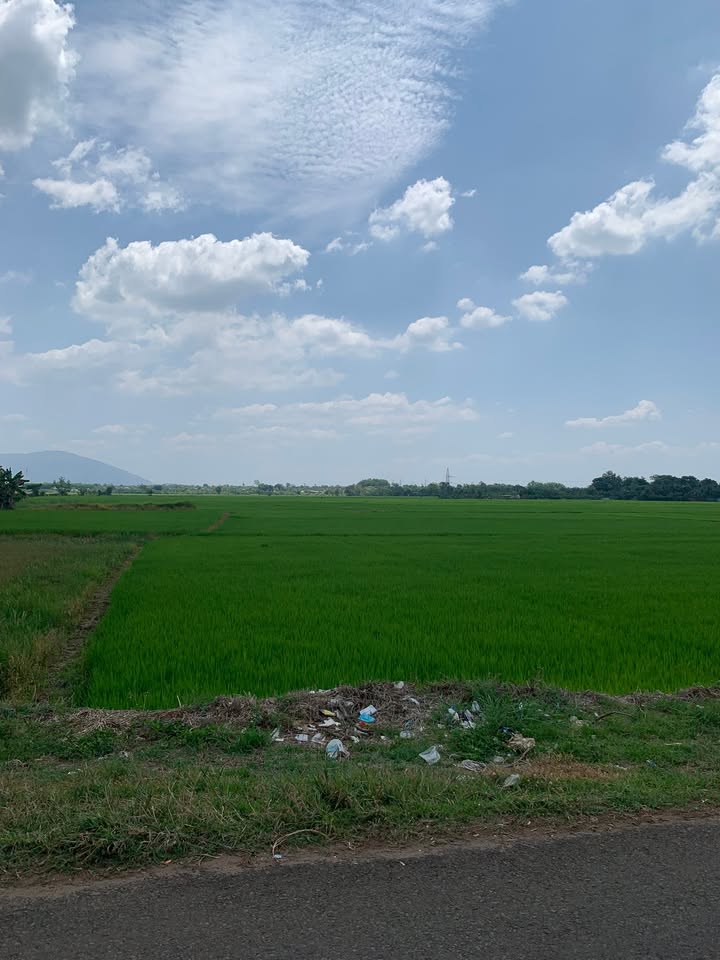 Đất nền Bảo Quang Long Khánh 150m² - giá tốt hiếm có