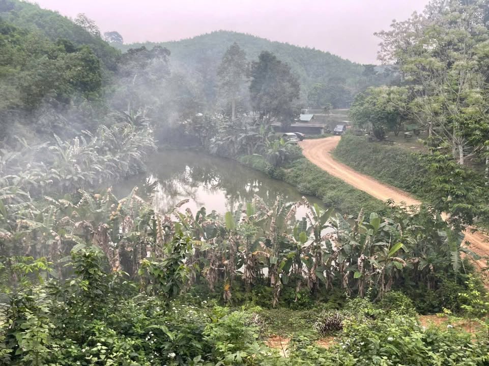 Trang trại Vĩnh Đồng Kim Bôi 15.6k m2 - Homstay nghi duong