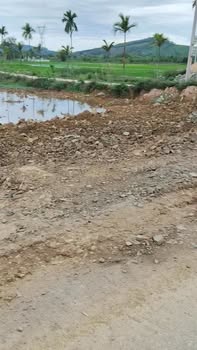 Đất nền Cầu Hoành Định Tân 125m² - Sổ đỏ chính chủ