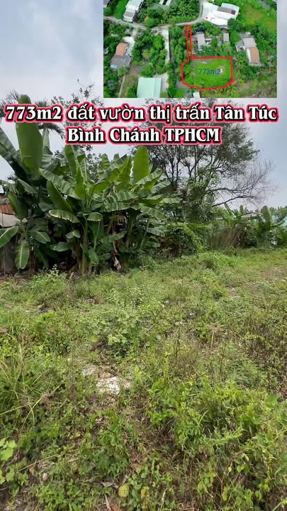 Đất vườn Tân Túc Bình Chánh 773m² 2.1 tỷ - Sổ đỏ chính chủ