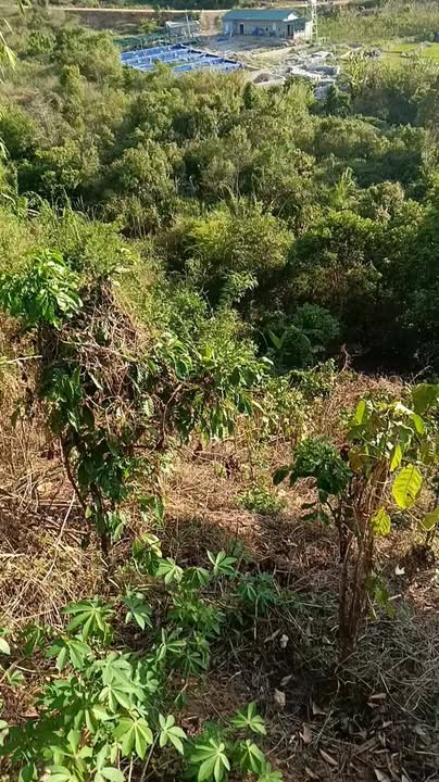 Đất nền Đạ Tông Đam Rông 1440m² thỏa thuận - Sổ đỏ chính chủ