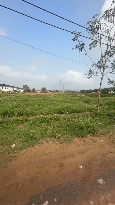 Đất kinh doanh Nam Đàn 216m² thỏa thuận - Tiềm năng tăng giá