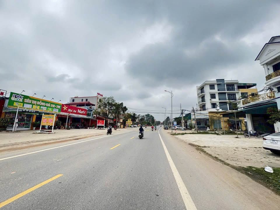 Đất nền Đạo Tú Tam Dương 100m² 3.x tỷ - Đất thổ cư 100%