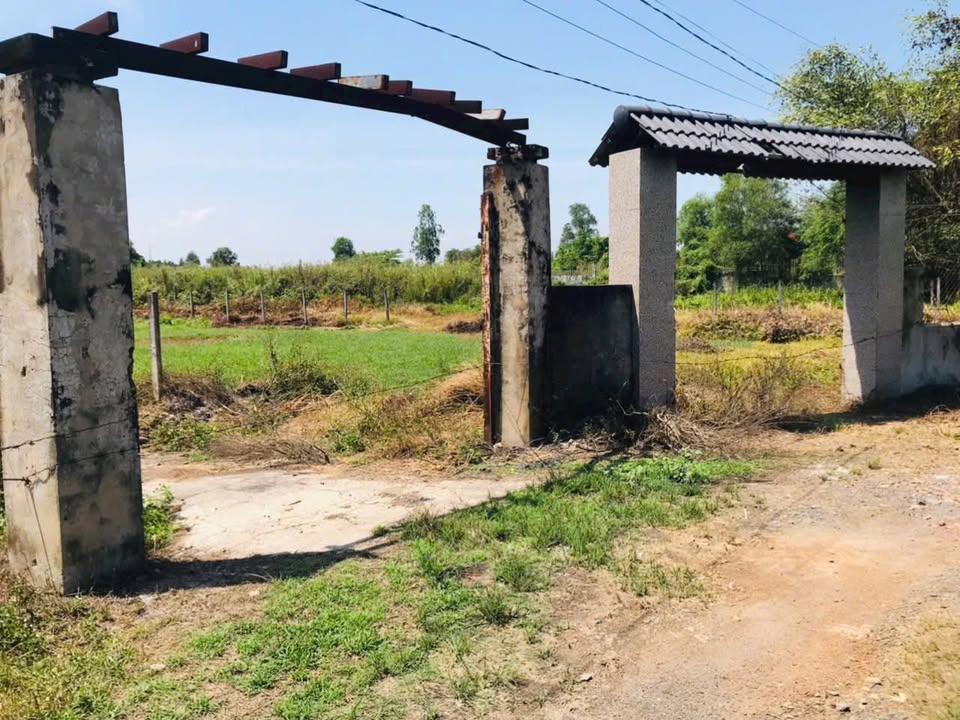 Đất nền Bình Mỹ Củ Chi 1.600m² 6.24 tỷ - Sổ đỏ chính chủ