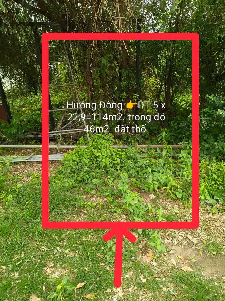 Đất nền Thị trấn Cồn 229m² giá thỏa thuận - Sổ đỏ chính chủ