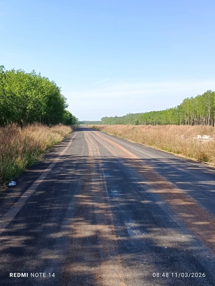 Đất nền Minh Hưng 650m² 350 triệu - Sổ đỏ chính chủ