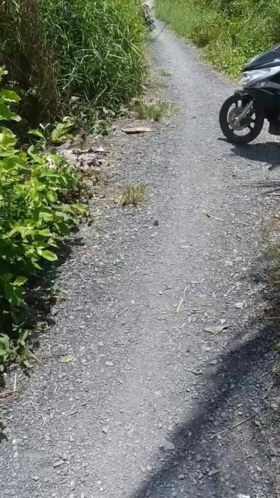 Đất nền Mỹ Lạc Thủ Thừa 350m² 350 triệu - Sổ đỏ