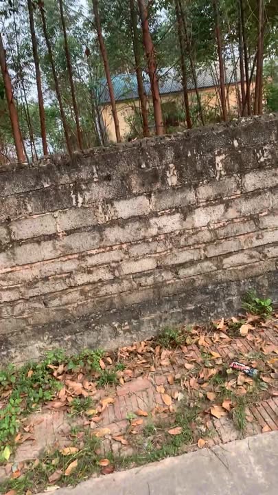 Đất nền Tân Yên 381m² 1 tỷ - Sổ đỏ chính chủ