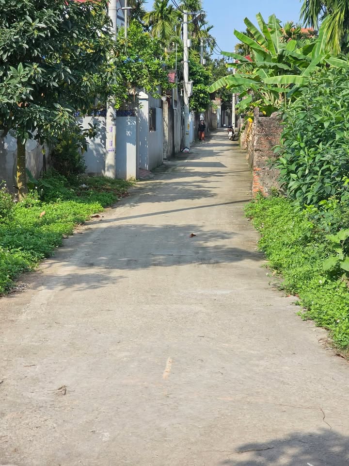 Đất nền Đại Hưng 100m² 2 tỷ xxtr - Sổ đỏ chính chủ