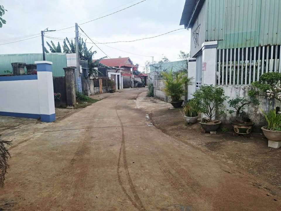 Đất nền Mang Yang Gia Lai 264m² giá 1.3 tỷ - Sổ đỏ chính chủ