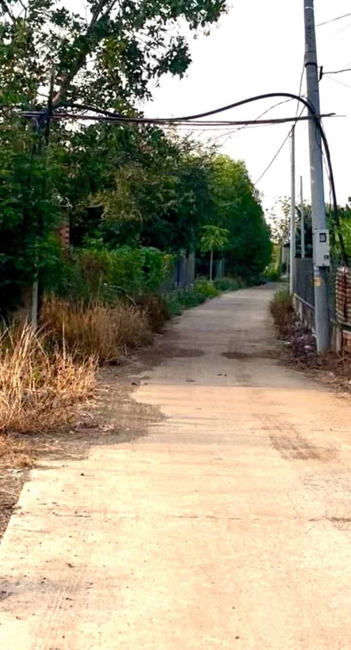 Đất nền Gia Kiệm Vĩnh Cửu 2.160m² 5.9 tỷ - Đường to ô tô