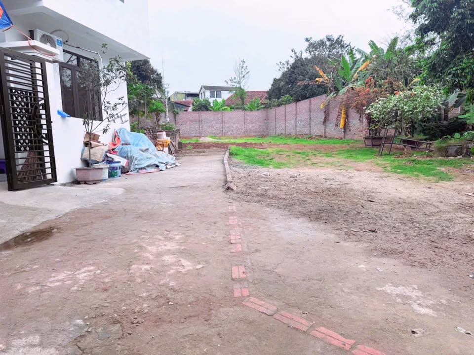 Đất Thanh Miếu Việt Trì 53m² 1,x tỷ - Sổ đỏ chính chủ