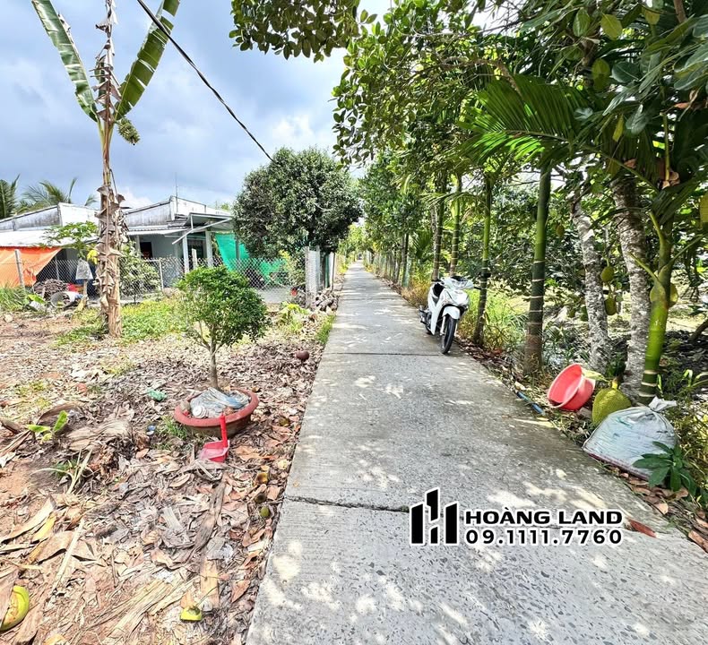 Đất nền Vĩnh Long Trường An 82m² 295 triệu - Thổ cư 100%