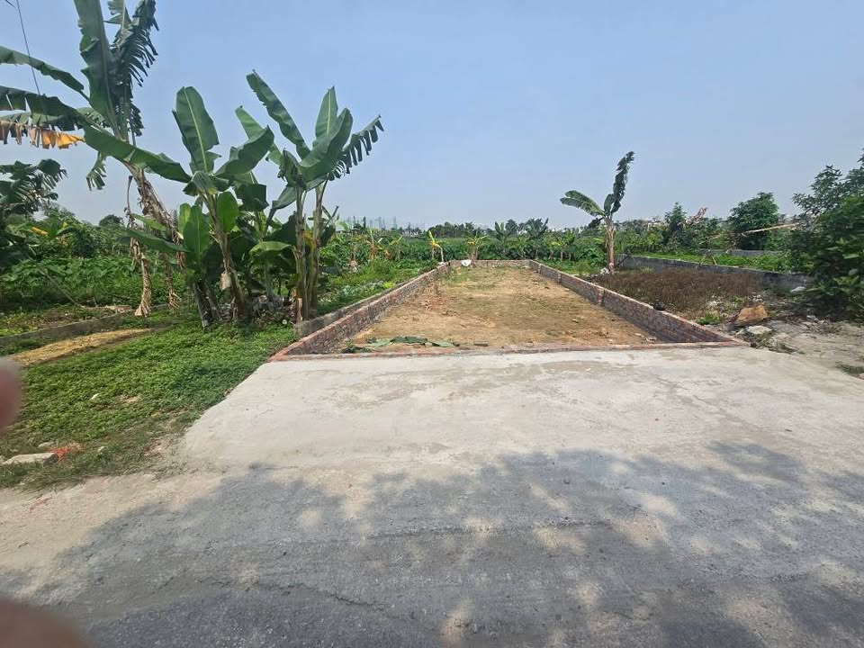 Đất Trà Khê Kiến An 94m² 3.3 tỷ - Sổ đỏ chính chủ