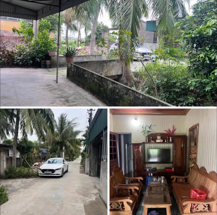 Đất vườn Hồng Lạc Thanh Hà 1.440m² 1 tỷ - Sổ đỏ chính chủ