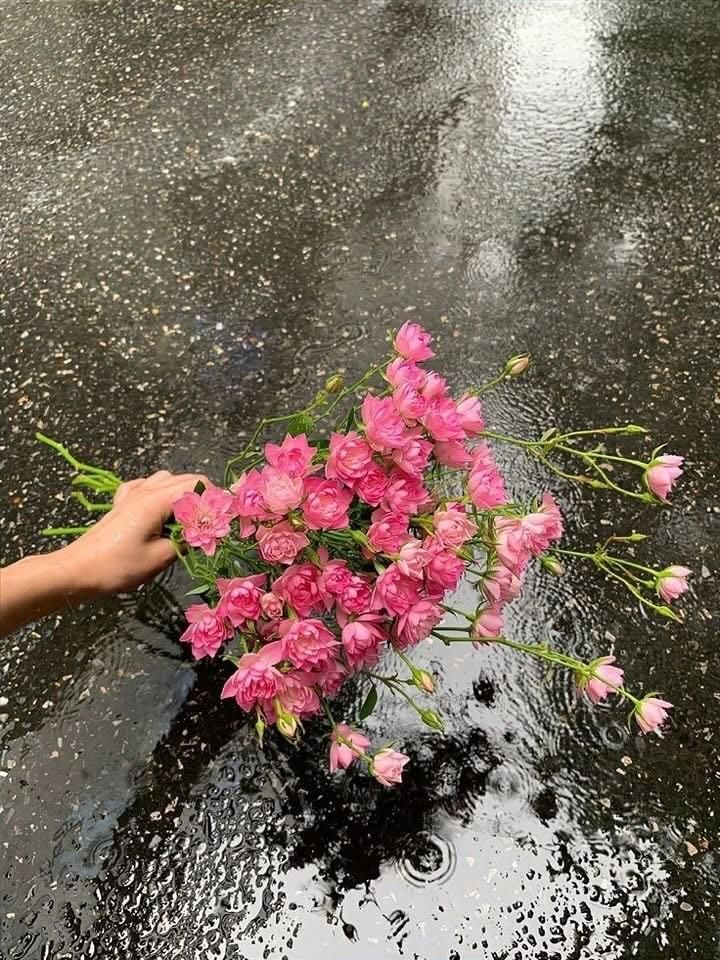 Đất nền Ea Drông Buôn Hồ 1.128m² giá 0.7 tỷ - Sổ đỏ chính chủ