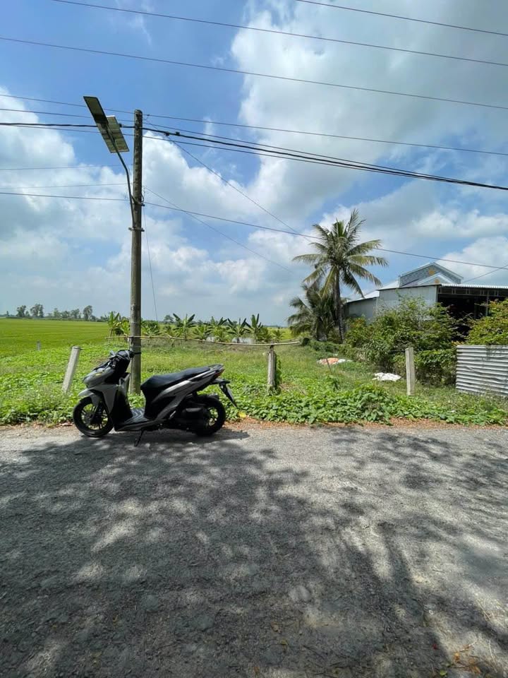 Đất nền Kênh Thanh Niên Vĩnh Chánh 1.023m² 1.3 tỷ - Sổ đỏ