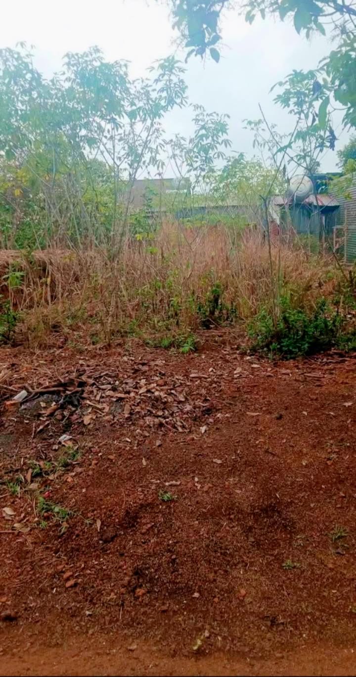 Đất nền Nguyễn Viết Xuân Đắk Mil 216m² - Sổ đỏ chính chủ