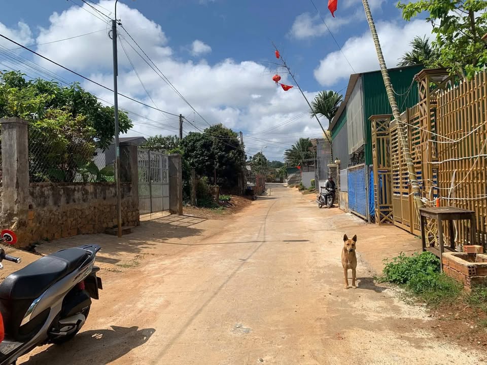 Đất nền Đắk R'La 300m² 1.25 tỷ - Sổ đỏ chính chủ