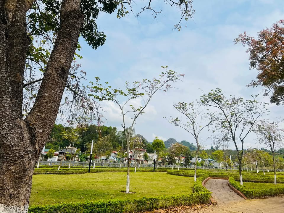 Shophouse Nguyễn Chí Thanh Lai Châu 140m² 1.999 tỷ - Mặt tiền kinh doanh