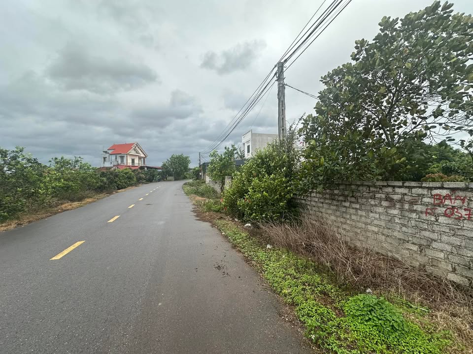 Đất vườn Phượng Sơn 1.800m² giá thỏa thuận - Nghỉ dưỡng xanh, đầu tư lâu dài