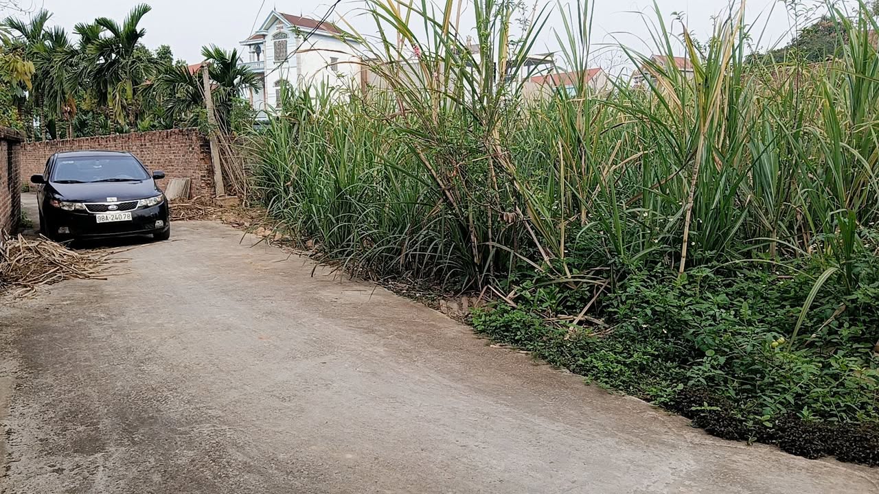 Đất nền Tân An Bắc Giang 85m² 800-899 triệu - Sổ đỏ chính chủ