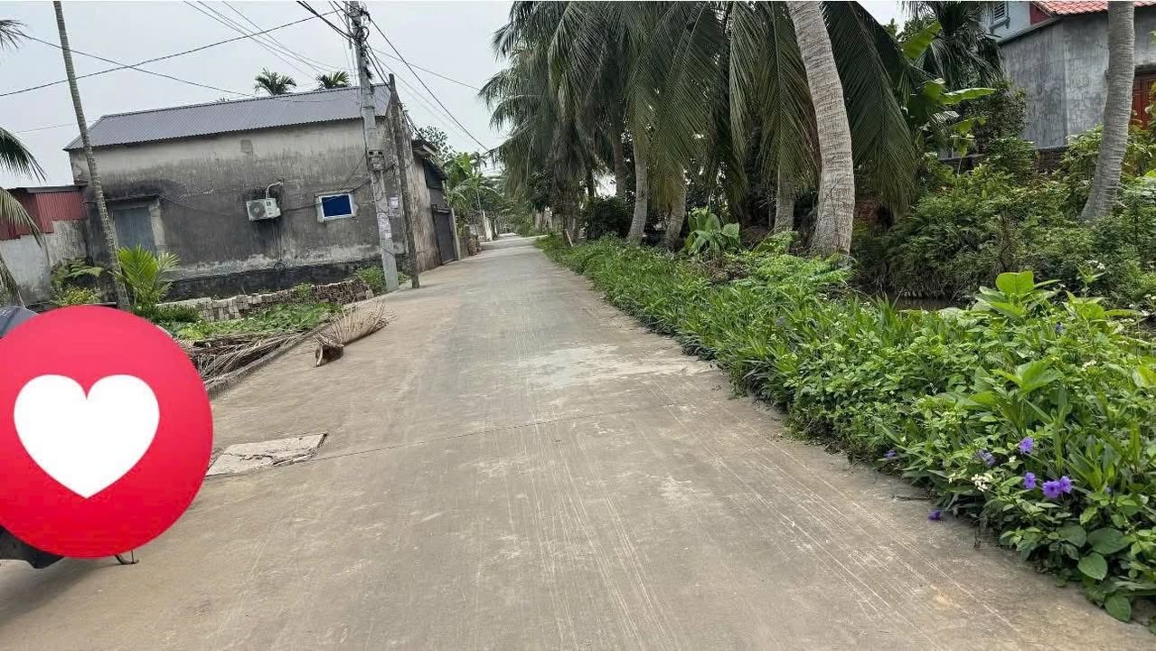 Đất Vĩnh Am Vĩnh Bảo 117m² 6xx triệu - Đường ô tô