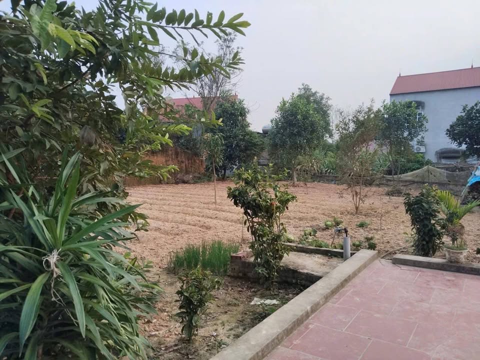 Đất nền Lâm Thao 800m² 2 tỷ - Thổ cư 100%