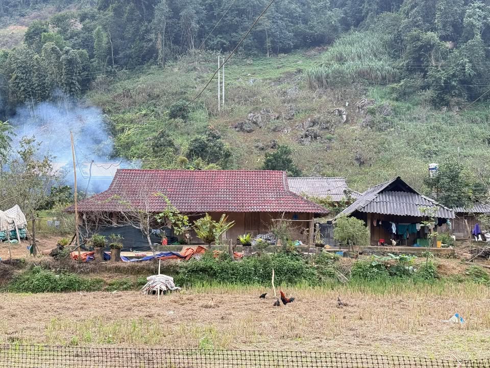 Đất vườn Mộc Sơn 1100m² 1,1 tỷ - Nghỉ dưỡng lý tưởng