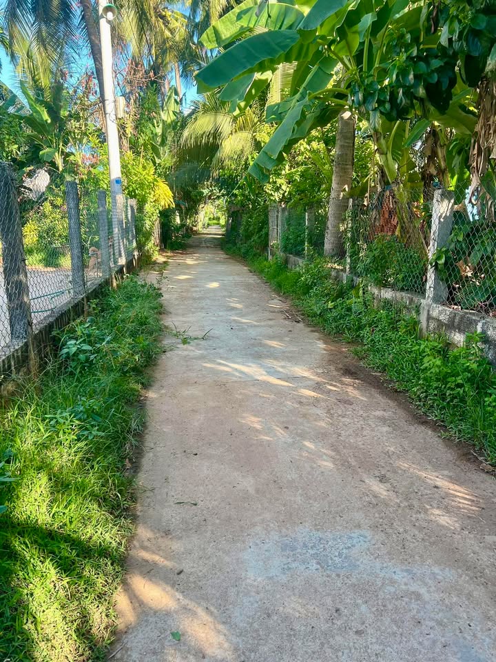 Đất nền Bồng Sơn 115m² giá 900 triệu - Sổ đỏ chính chủ