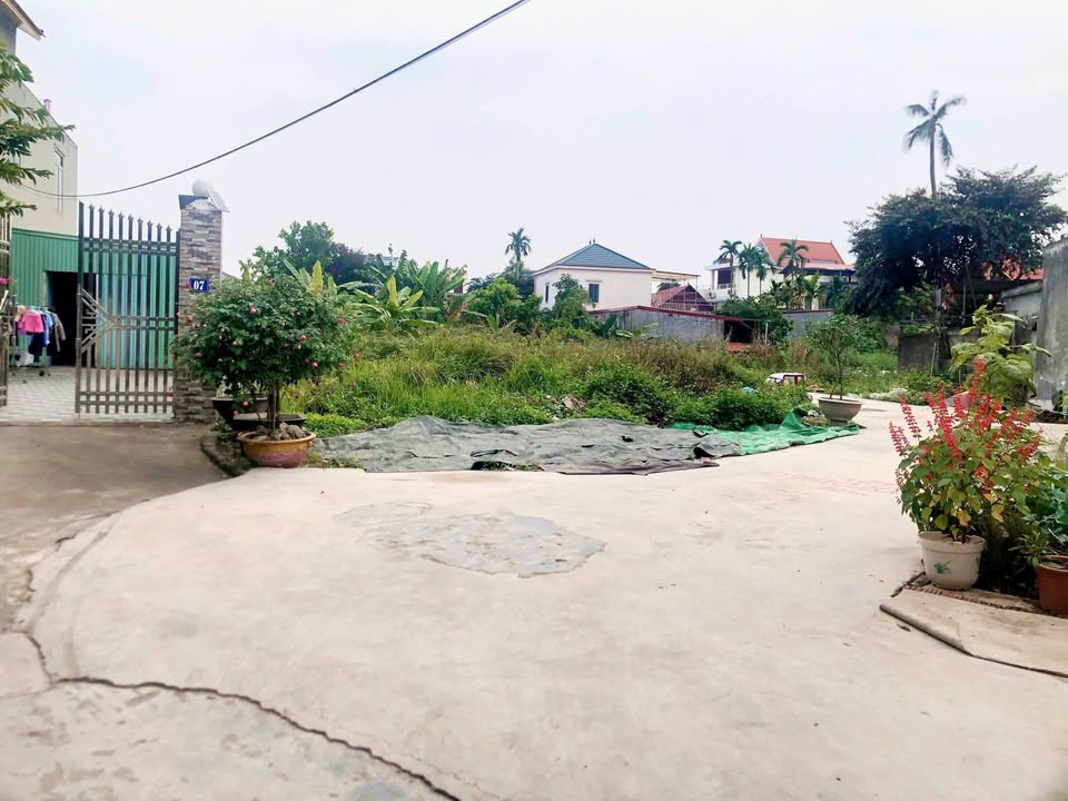 Đất Tân Tiến An Dương 50m² 500 triệu - Sổ đỏ chính chủ