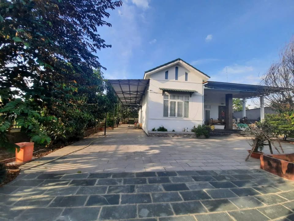 Nhà vườn Tân Phú Trung Củ Chi 300m² 15tr - Giá tốt hiếm có