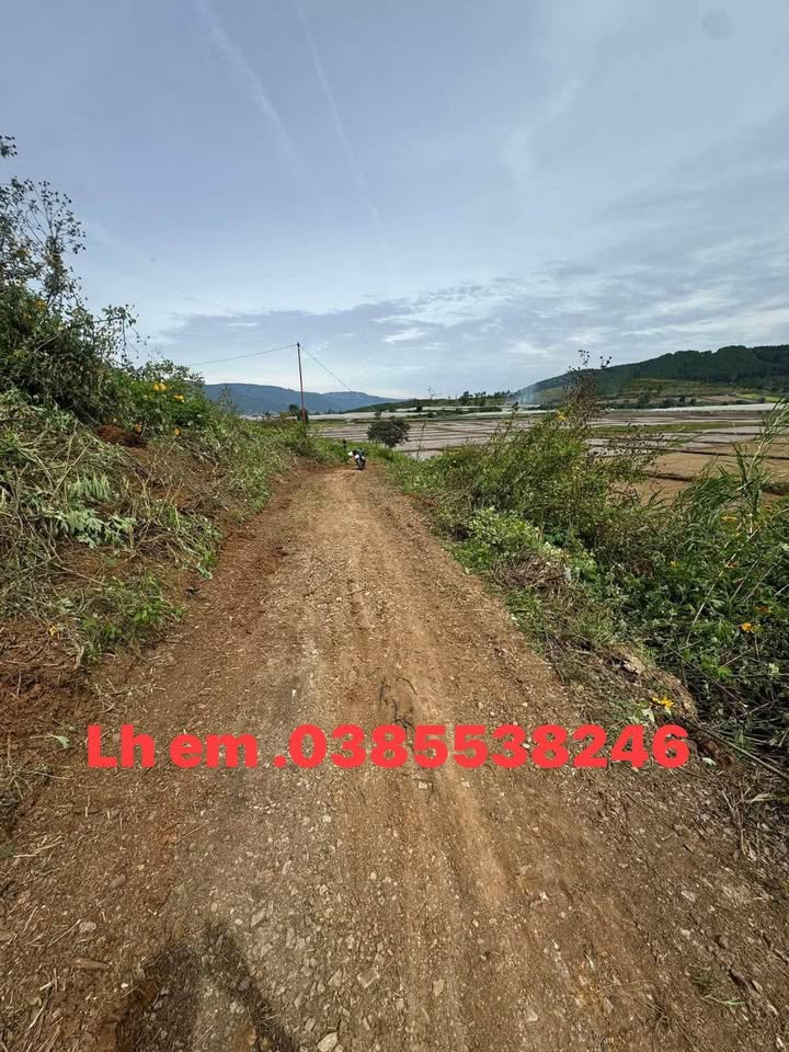 Farm Xã Kado Đà Lạt 2.200m² 1.3 tỷ - Sinh thái xanh