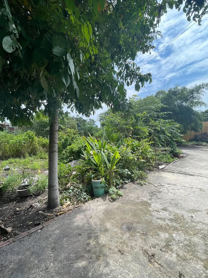 Xưởng cho thuê Xuân Thới Sơn Q.12 160m² 4.5 triệu - Hoạt động ngay