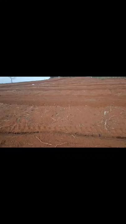 Đất nông nghiệp Đắk N'Dung 10ha 12 tỷ - Sổ đỏ chính chủ