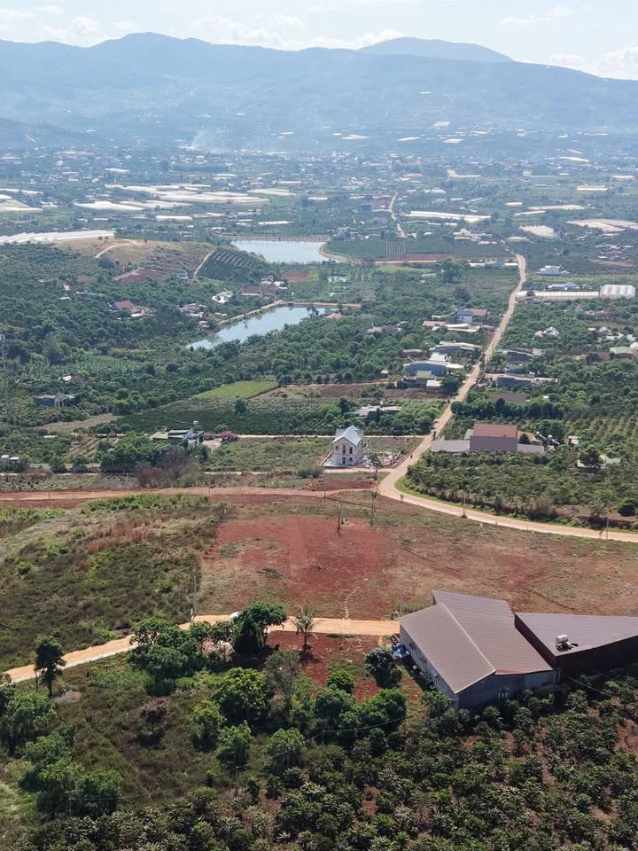 Đất nền Nam Ban Panorama Phường Phú Thuận 656m² 2.2 tỷ - Sổ đỏ chính chủ