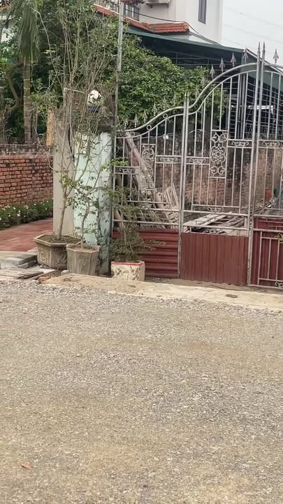 Đất nền Thắng Lợi Văn Giang 80m² 3 tỷ - Đường ôtô rộng