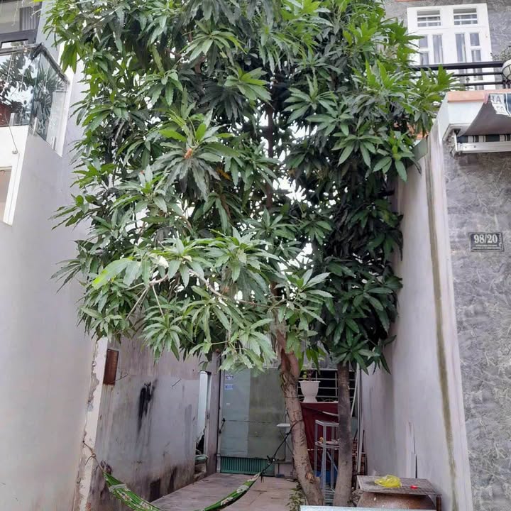 Đất Bình Trị Đông 92m² giá 6.8 tỷ - Bán gấp