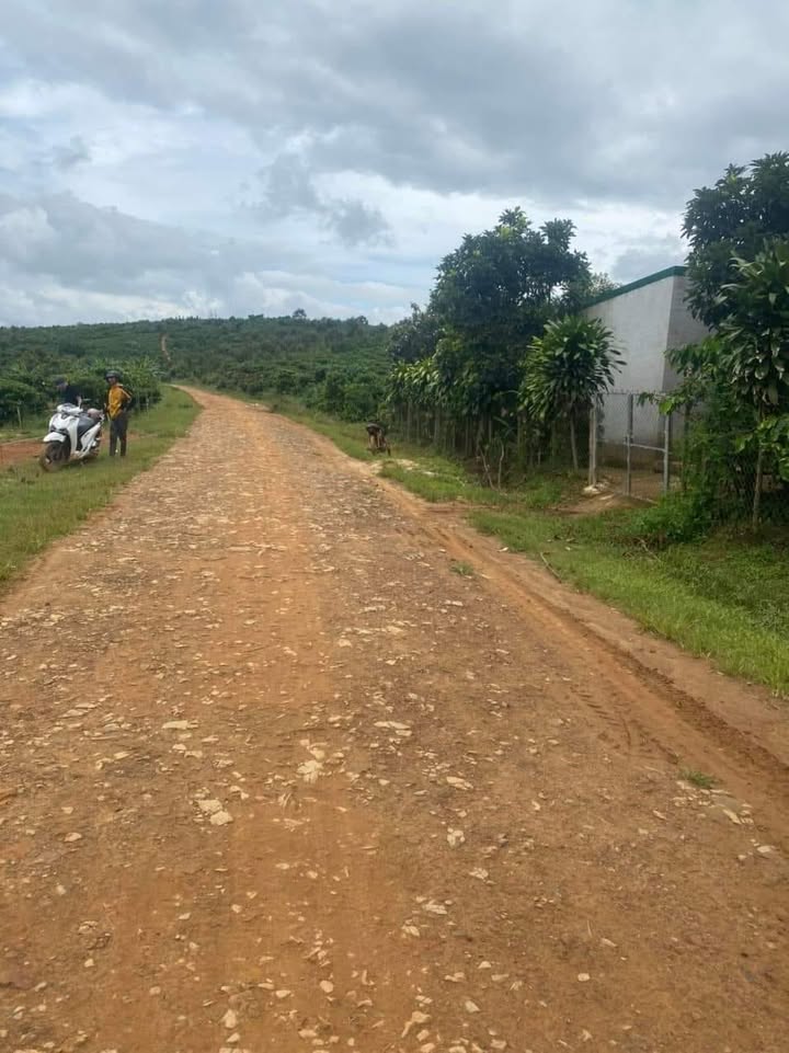 Đất nền Hòa Bắc Hòa Vang 2400m² 370 triệu - Sổ đỏ chính chủ