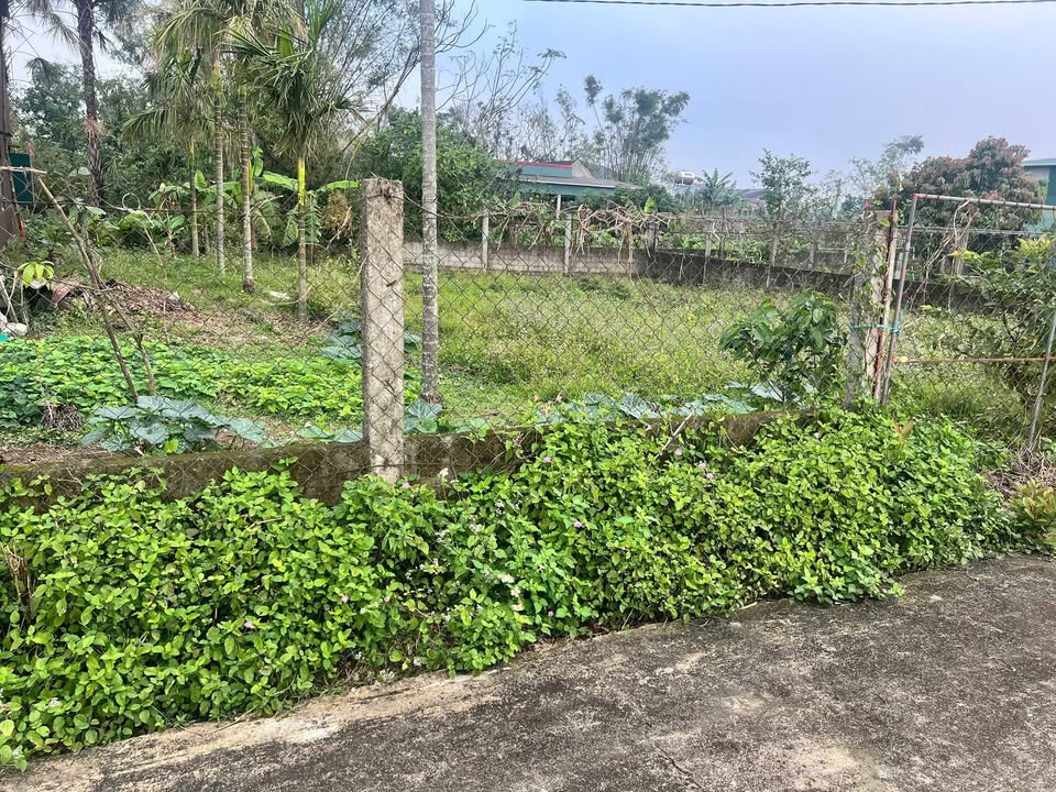 Đất nền Yên Hòa Cẩm Xuyên 140m² 6xx triệu - Sổ đỏ chính chủ