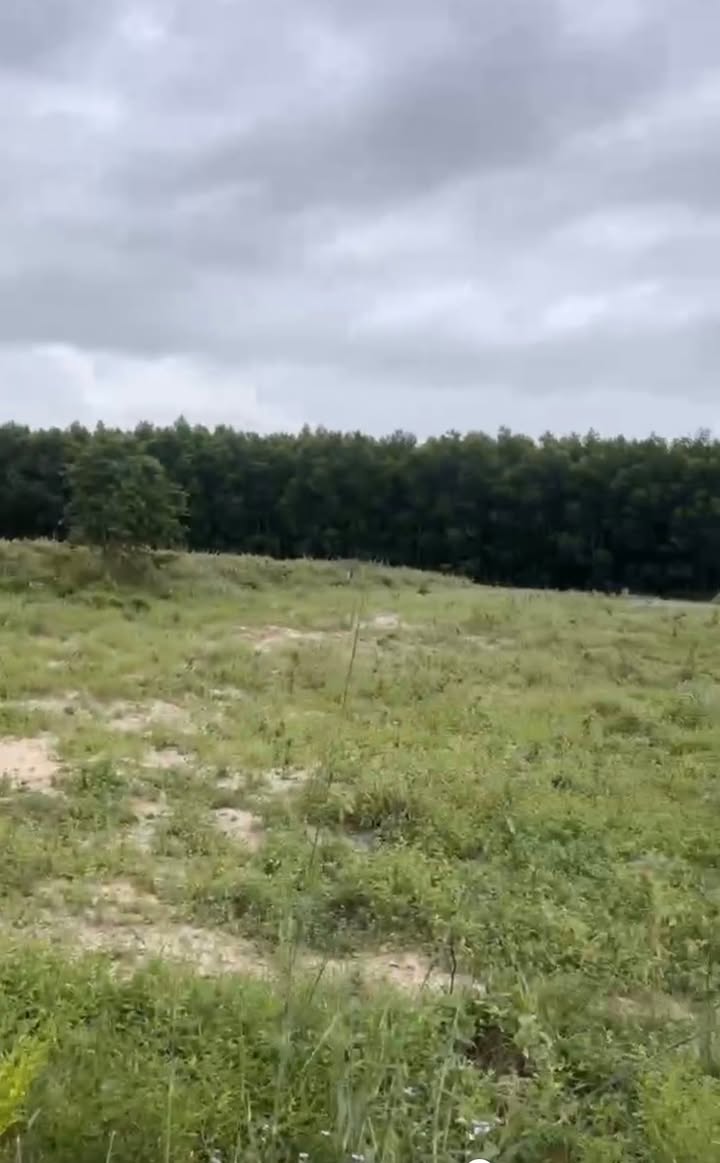 Đất nền Lương Định Của Hàm Tân 1.314m² - Đường to ô tô