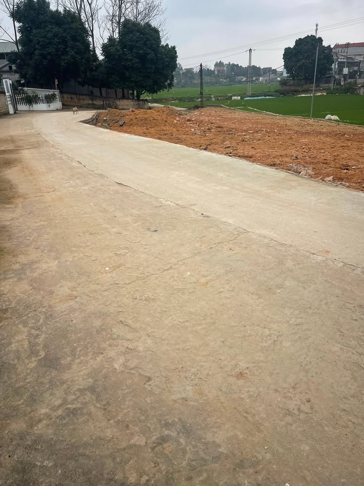 Đất nền Khu 6 Thanh Đình 106m² 1-1,9 tỷ - Đất thổ cư 100%