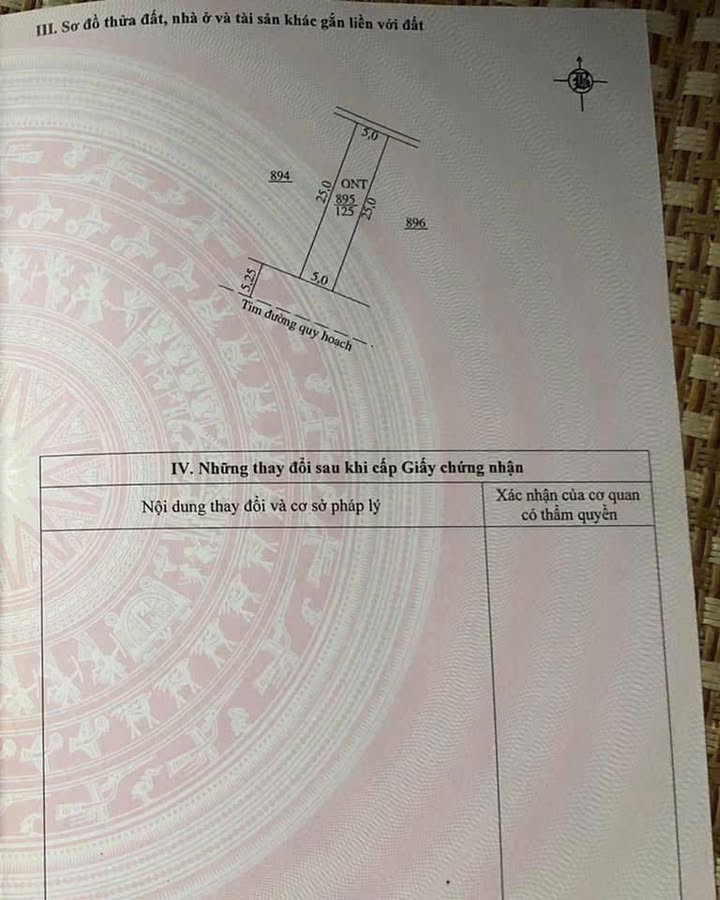Đất nền Quảng Trạch 125m² 1.3 tỷ - Sổ đỏ chính chủ