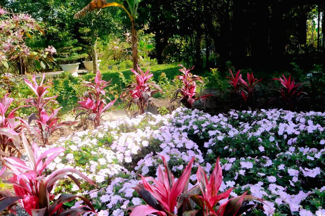 Nhà riêng Quy Nhơn 150m² giá vài trăm - Chính chủ bán