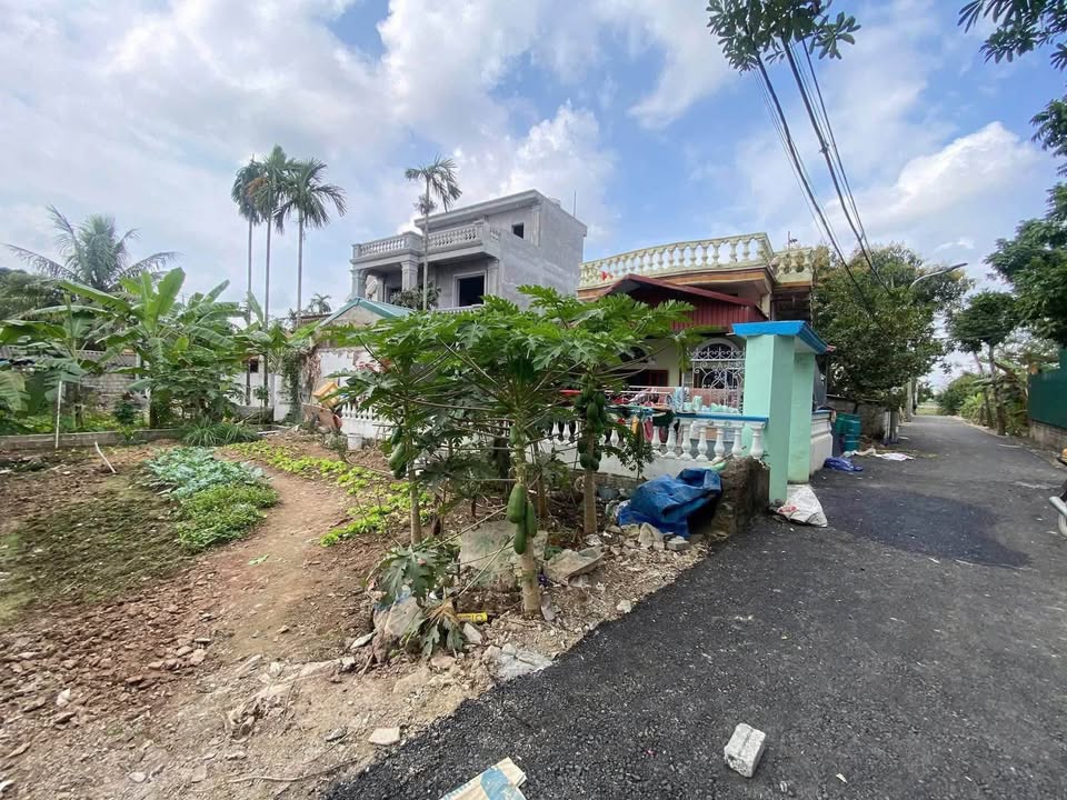 Đất nền Bà Mão Thanh Liêm 75m² 2.6 tỷ - Sổ đỏ chính chủ