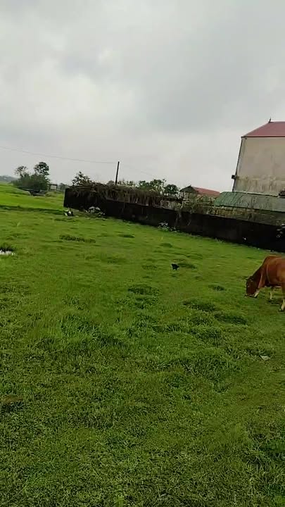 Đất nền Kỳ Thư - Kỳ Anh 198m² 100 triệu - Sổ đỏ chính chủ