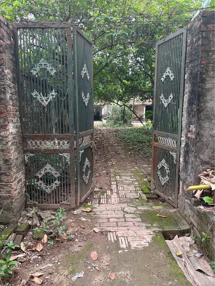 Đất nền An Khánh Hà Nội 1000m² - Sổ đỏ chính chủ