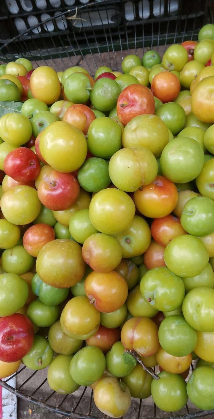 Đất nền Senco Thanh Văn 60m² - Sổ đỏ chính chủ