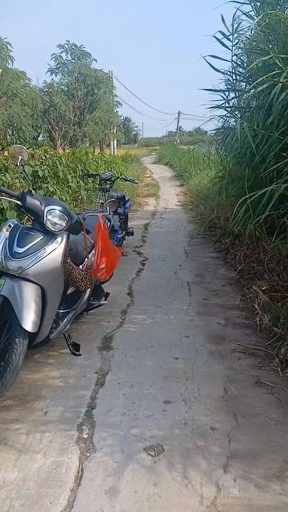 Đất nền Long Hưng Tiền Giang 238m² 430 triệu - Sổ đỏ chính chủ